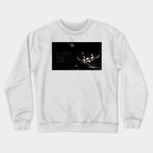 Black Monday, the dream howitzer. Crewneck Sweatshirt